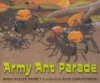 Army_ant_parade