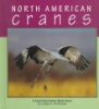 North_American_cranes