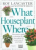 What_houseplant_where
