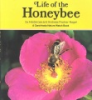 Life_of_the_honeybee