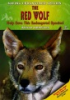 The_red_wolf