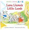 Lana_Llama_s_little_lamb