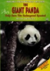 The_giant_panda