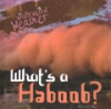 What_s_a_haboob_