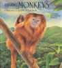 Amazing_monkeys