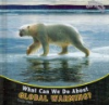 What_can_we_do_about_global_warming_