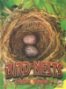 Bird_nests