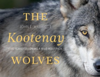 Kootenay_Wolves___Five_Years_Following_a_Wild_Wolf_Pack