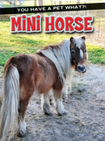 Mini_horse