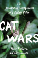 Cat_wars