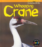 Whooping_crane